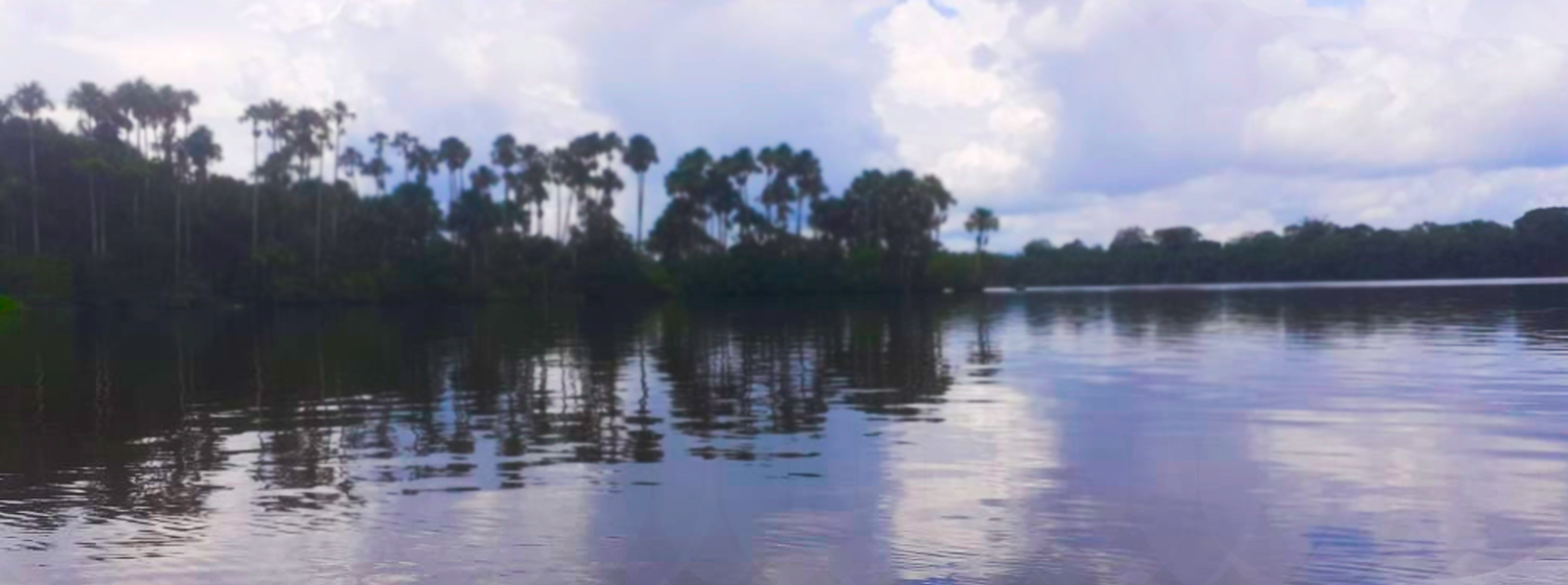 Lago Sandoval - Puerto Maldonado